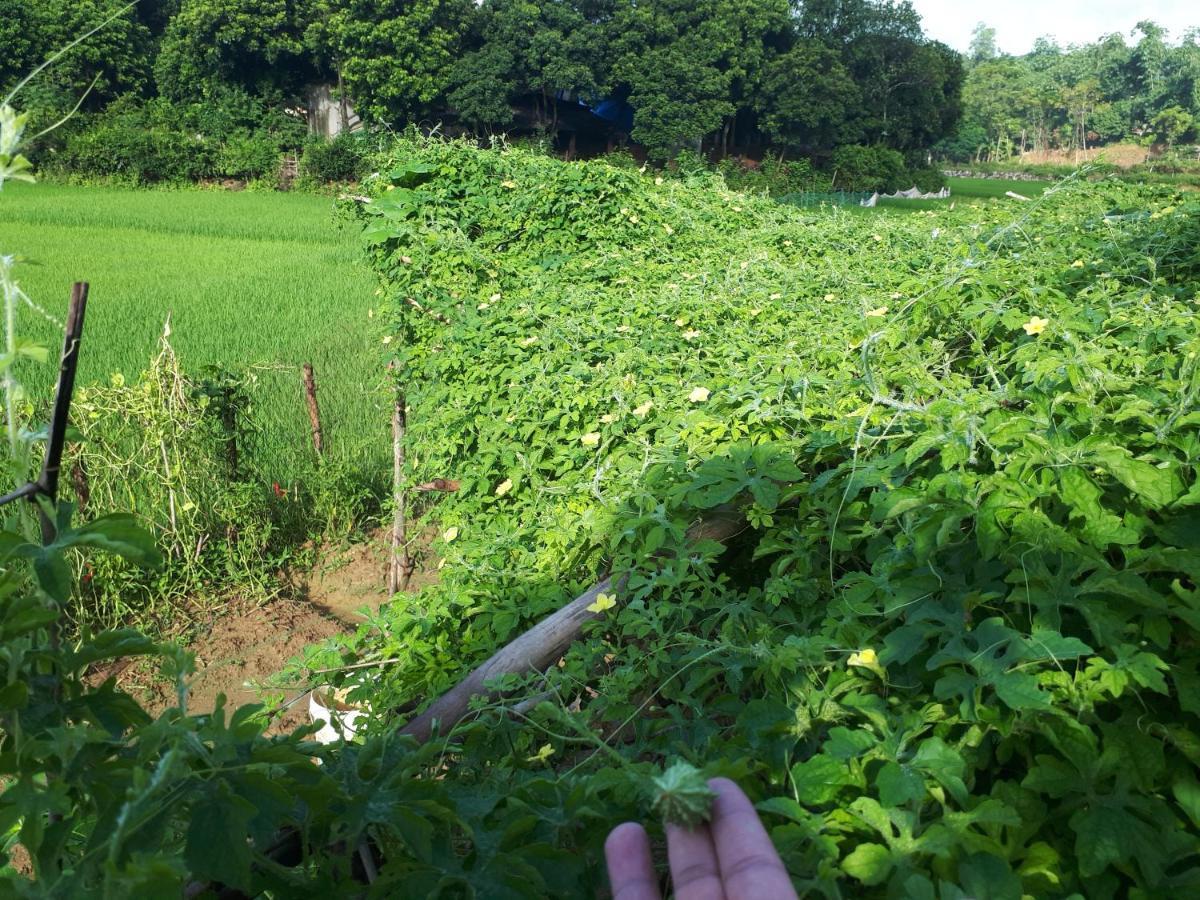 Meadow Mai Chau Homestay Exteriör bild