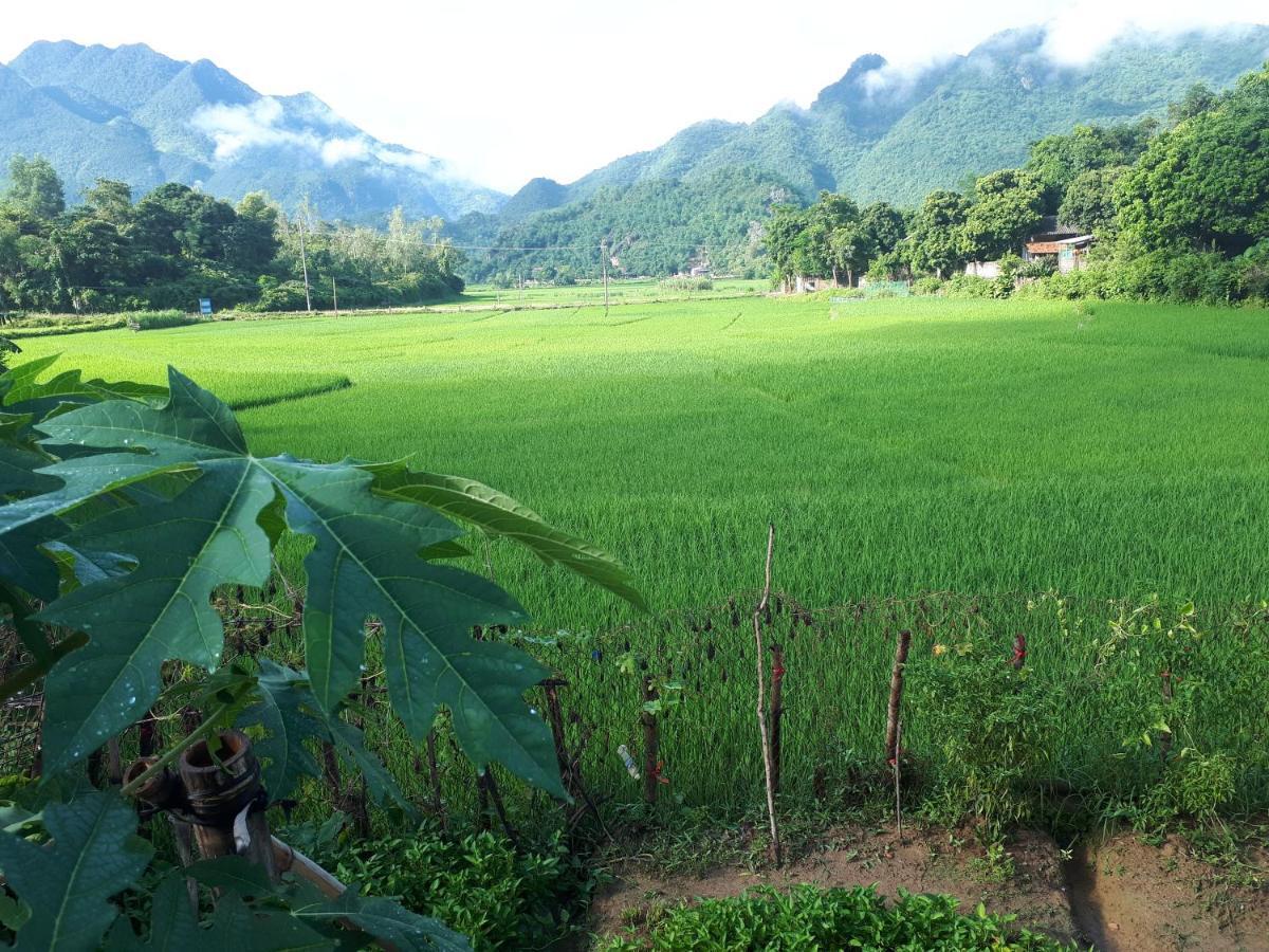 Meadow Mai Chau Homestay Exteriör bild