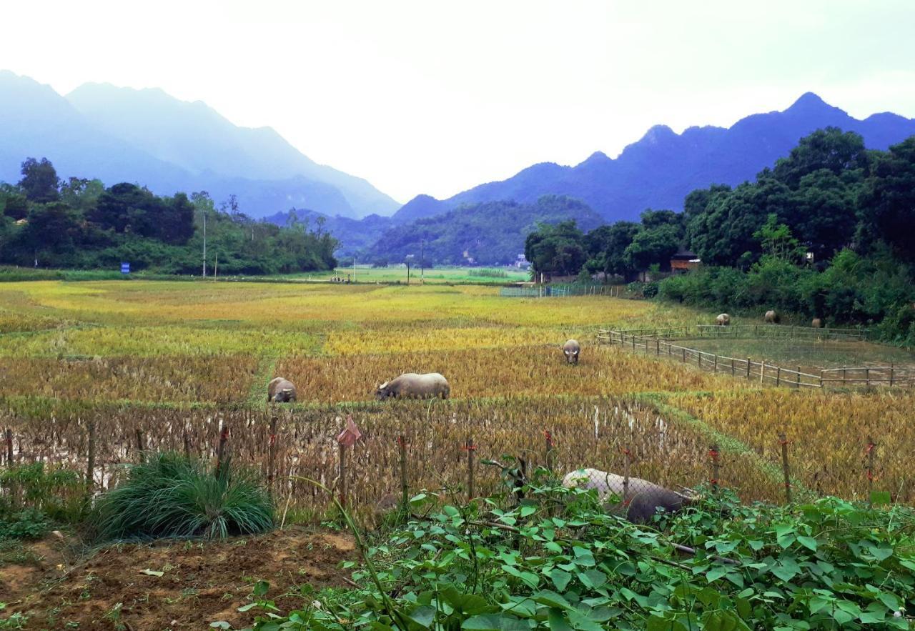 Meadow Mai Chau Homestay Exteriör bild