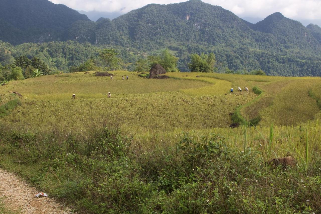 Meadow Mai Chau Homestay Exteriör bild