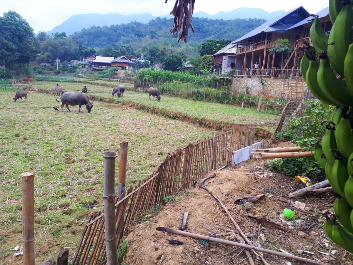 Meadow Mai Chau Homestay Exteriör bild